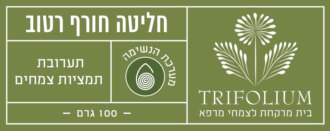 חליטה חורף רטוב