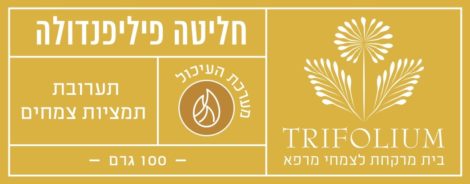 חליטה פיליפנדולה