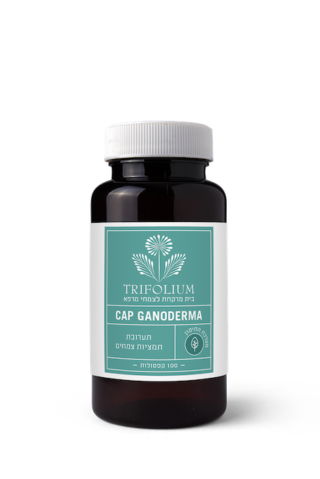 ריישי / גנודרמה