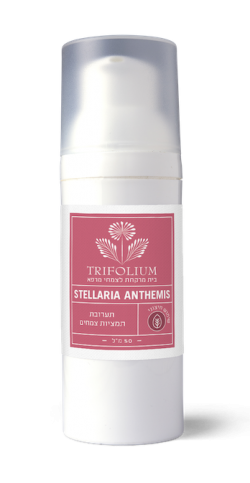 STELLARIA ANTHEMIS