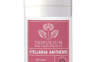 STELLARIA ANTHEMIS