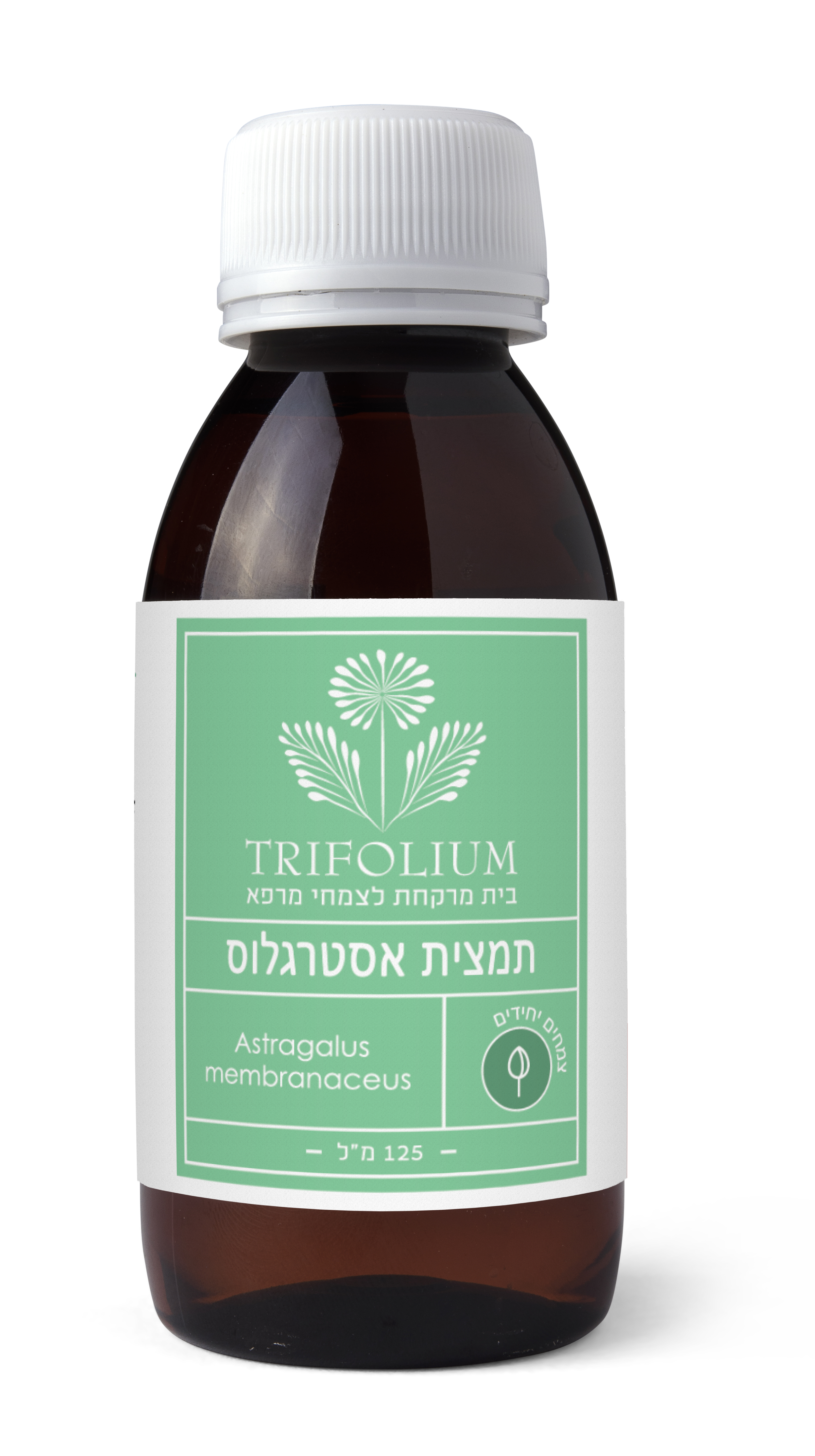 תמצית אסטרגלוס