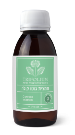 תמצית גוטו קולה