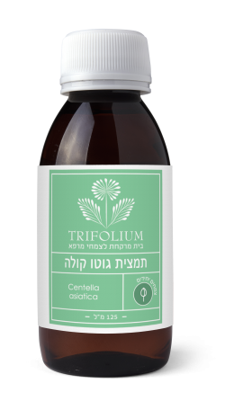 תמצית גוטו קולה