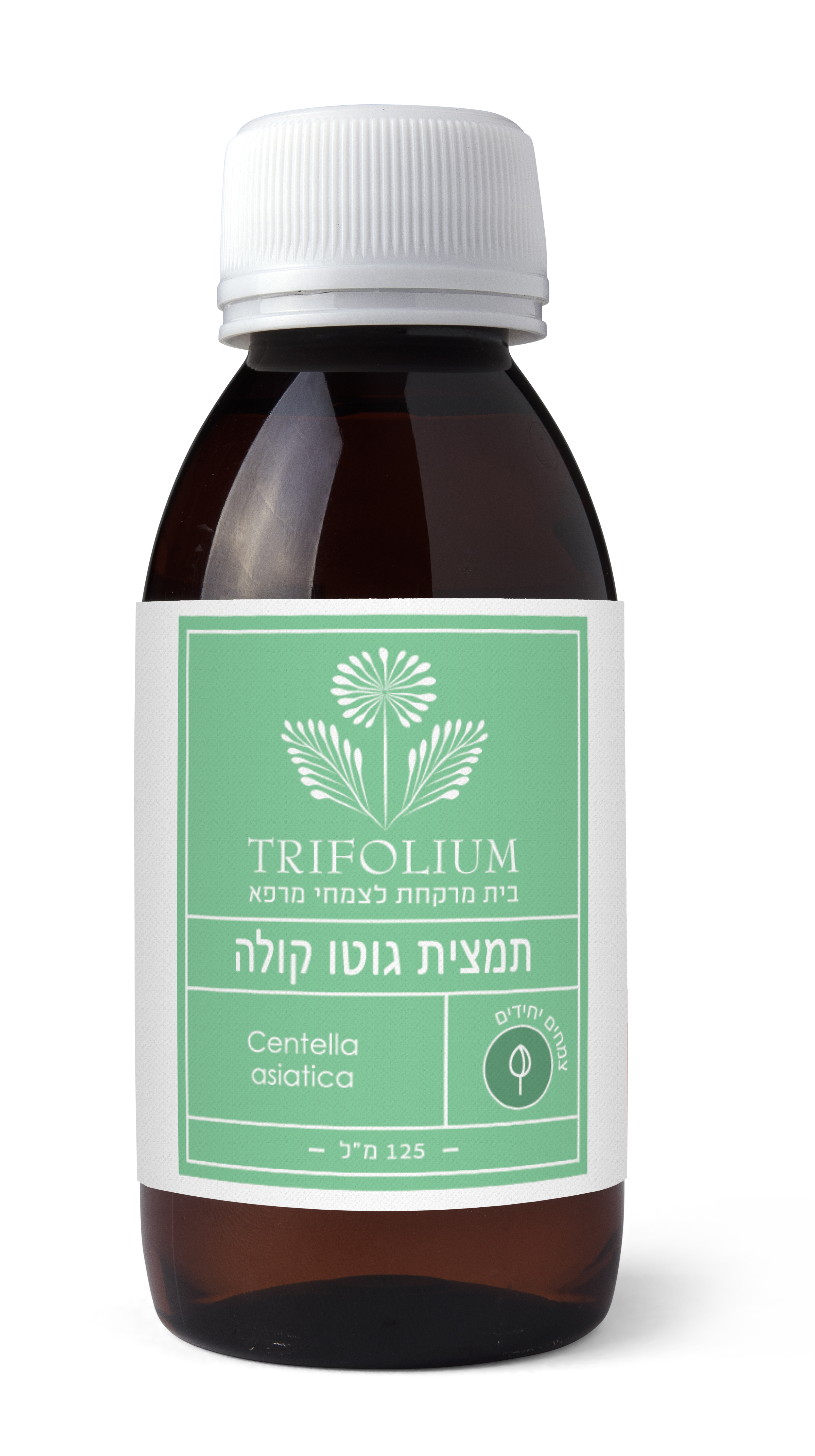 תמצית גוטו קולה