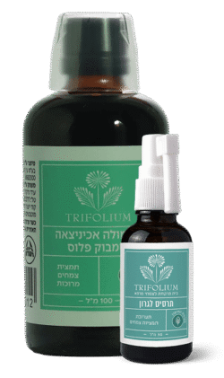 מארז חורף קלאסי
